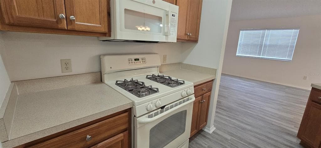 1009 RIDGEVILLE ROAD, THE VILLAGES, FL 32162 — zdjęcie 5