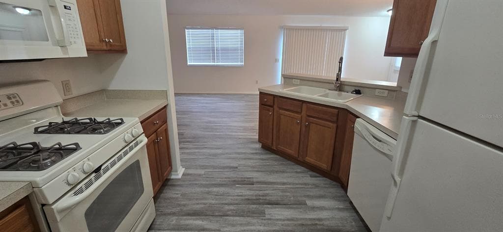 1009 RIDGEVILLE ROAD, THE VILLAGES, FL 32162 — zdjęcie 4