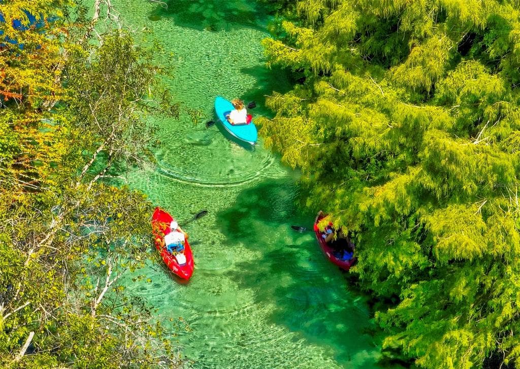 7032 RIVER RUN BOULEVARD, WEEKI WACHEE, FL 34607 — zdjęcie 2