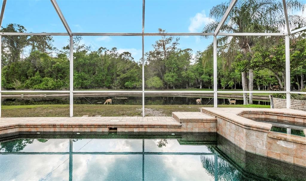 4152 GRANDCHAMP CIRCLE, PALM HARBOR, FL 34685 — zdjęcie 3