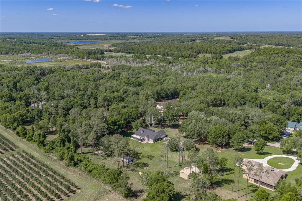 810 SAVANNAH OAKS DRIVE, BROOKSVILLE, FL 34602 — zdjęcie 2