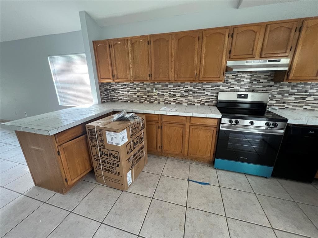 4843 BILLY DIRECT LANE, LUTZ, FL 33559 — zdjęcie 3