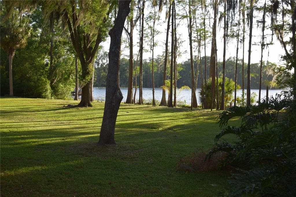 16308 ROCK LAKE DRIVE, ODESSA, FL 33556