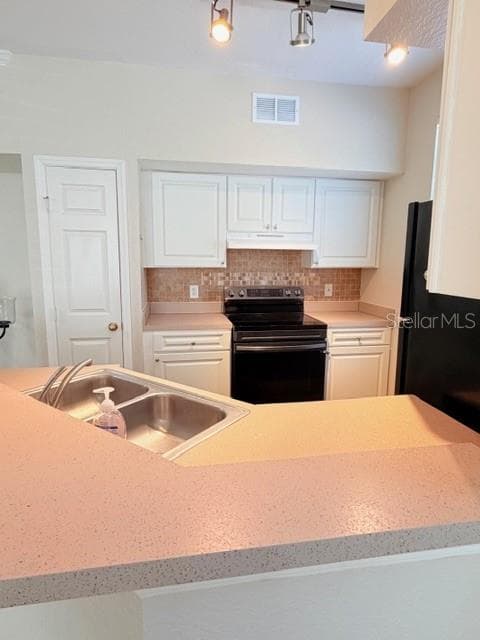 9108 LAKE CHASE ISLAND WAY # 9108, TAMPA, FL 33626 — zdjęcie 5