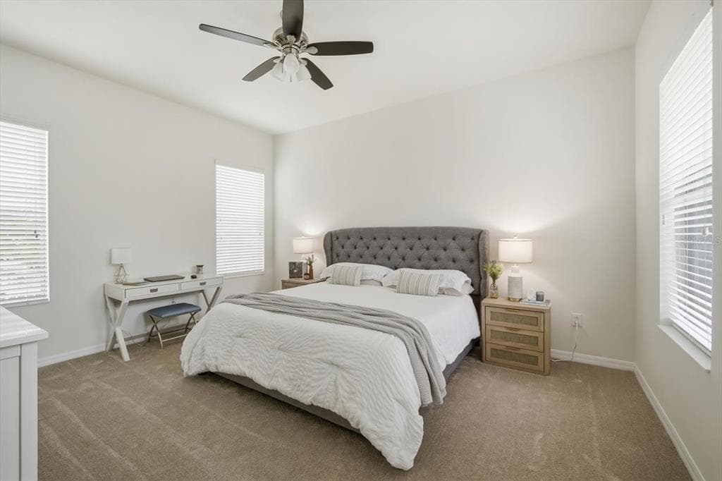 11310 WINTHROP LAKE DRIVE, RIVERVIEW, FL 33578 — zdjęcie 4