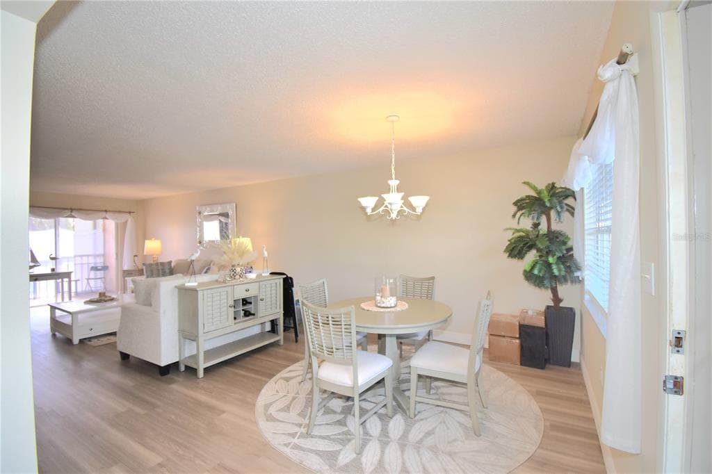 952 VIRGINIA STREET # 209, DUNEDIN, FL 34698 — zdjęcie 5
