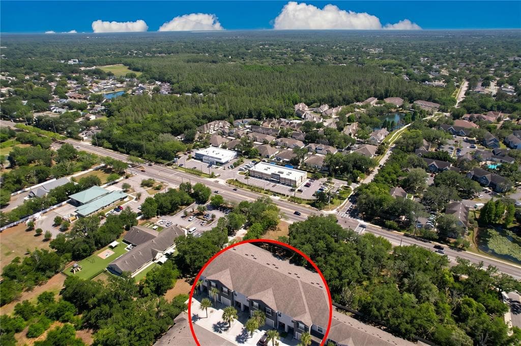 3313 PLEASANT WILLOW COURT, BRANDON, FL 33511 — zdjęcie 5