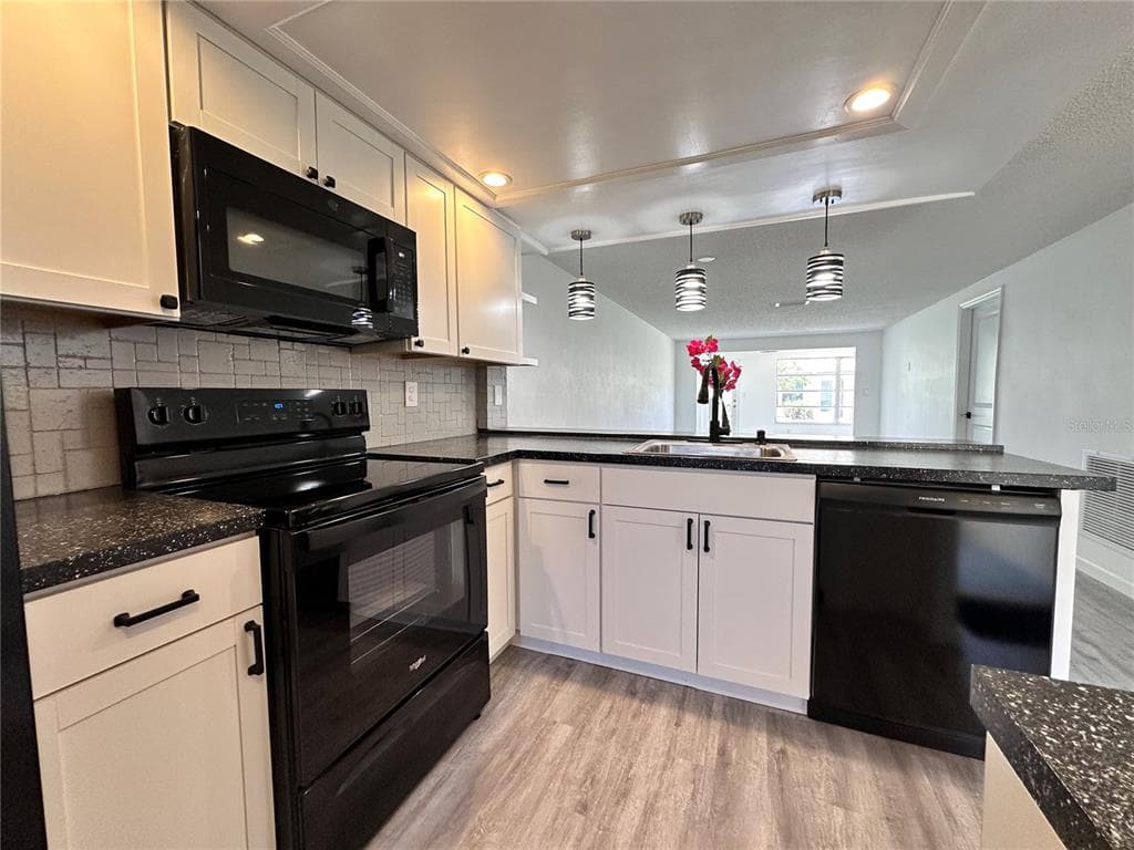 4445 RUSTIC DRIVE, NEW PORT RICHEY, FL 34652 — zdjęcie 5
