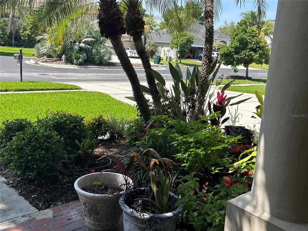 26612 SHOREGRASS DRIVE, WESLEY CHAPEL, FL 33544 — zdjęcie 5
