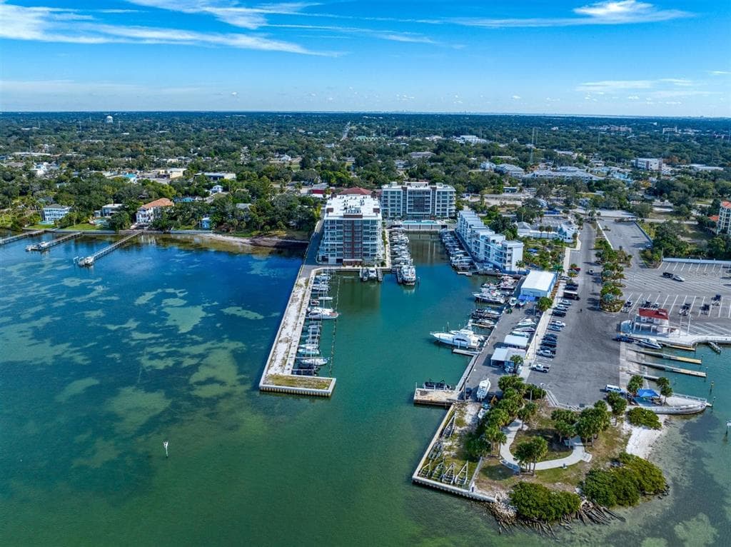900 N OSCEOLA AVENUE # 401, CLEARWATER, FL 33755 — zdjęcie 5