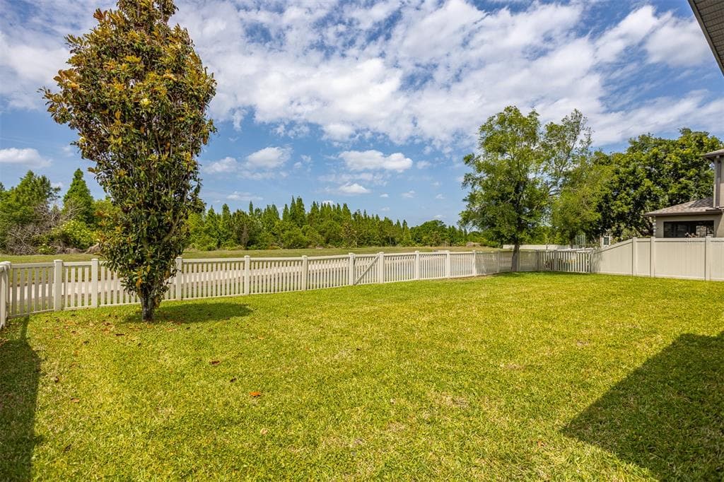11511 PALMETTO PINE STREET, RIVERVIEW, FL 33569 — zdjęcie 3