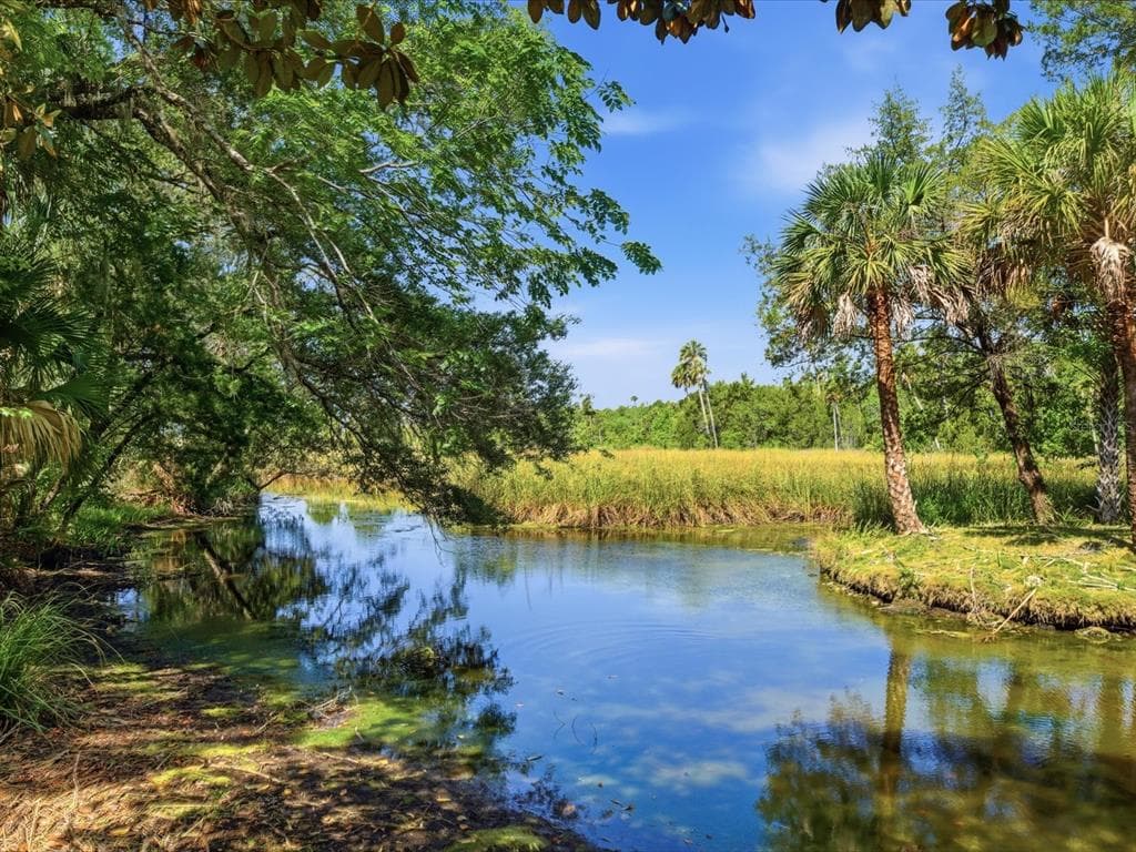8979 W WHITE DOGWOOD DRIVE, HOMOSASSA, FL 34448 — zdjęcie 2