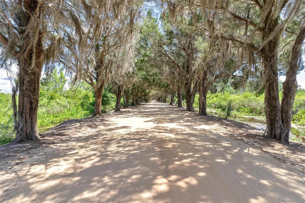 7373 CIRCLE DRIVE, LADY LAKE, FL 32159 — zdjęcie 5
