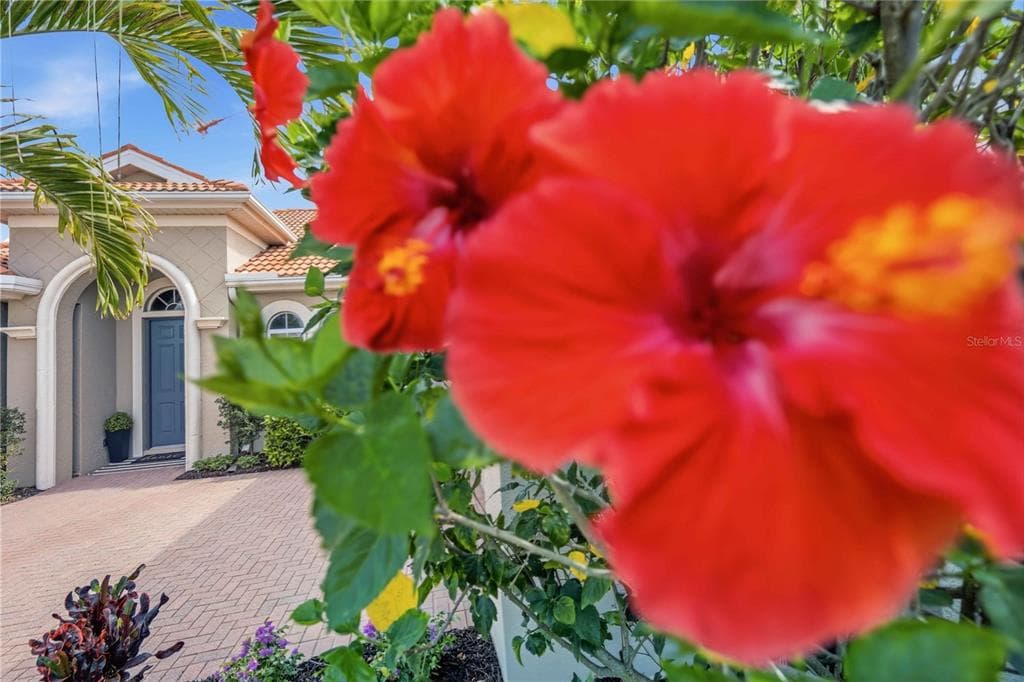 170 MONTELLUNA DRIVE, NORTH VENICE, FL 34275 — zdjęcie 4