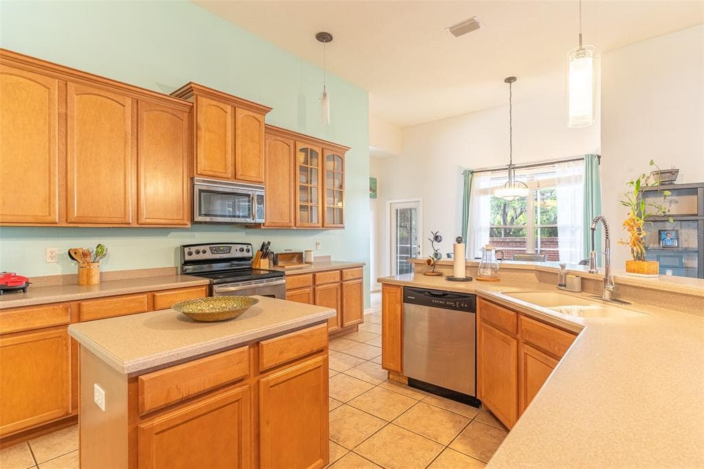 2539 CENTENNIAL FALCON DRIVE, VALRICO, FL 33596 — zdjęcie 3
