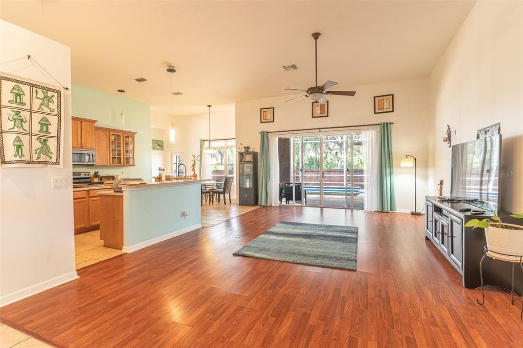 2539 CENTENNIAL FALCON DRIVE, VALRICO, FL 33596 — zdjęcie 5