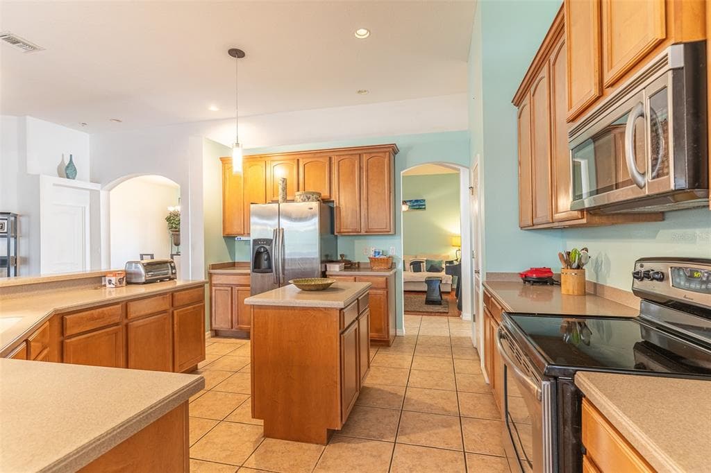 2539 CENTENNIAL FALCON DRIVE, VALRICO, FL 33596 — zdjęcie 4