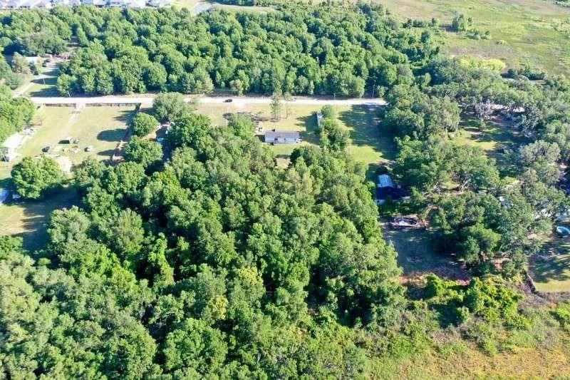 31326 TYNDALL ROAD, WESLEY CHAPEL, FL 33545 — zdjęcie 5
