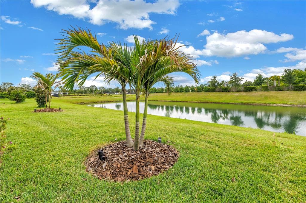 8217 TRIMBELLE, PARRISH, FL 34219 — zdjęcie 2