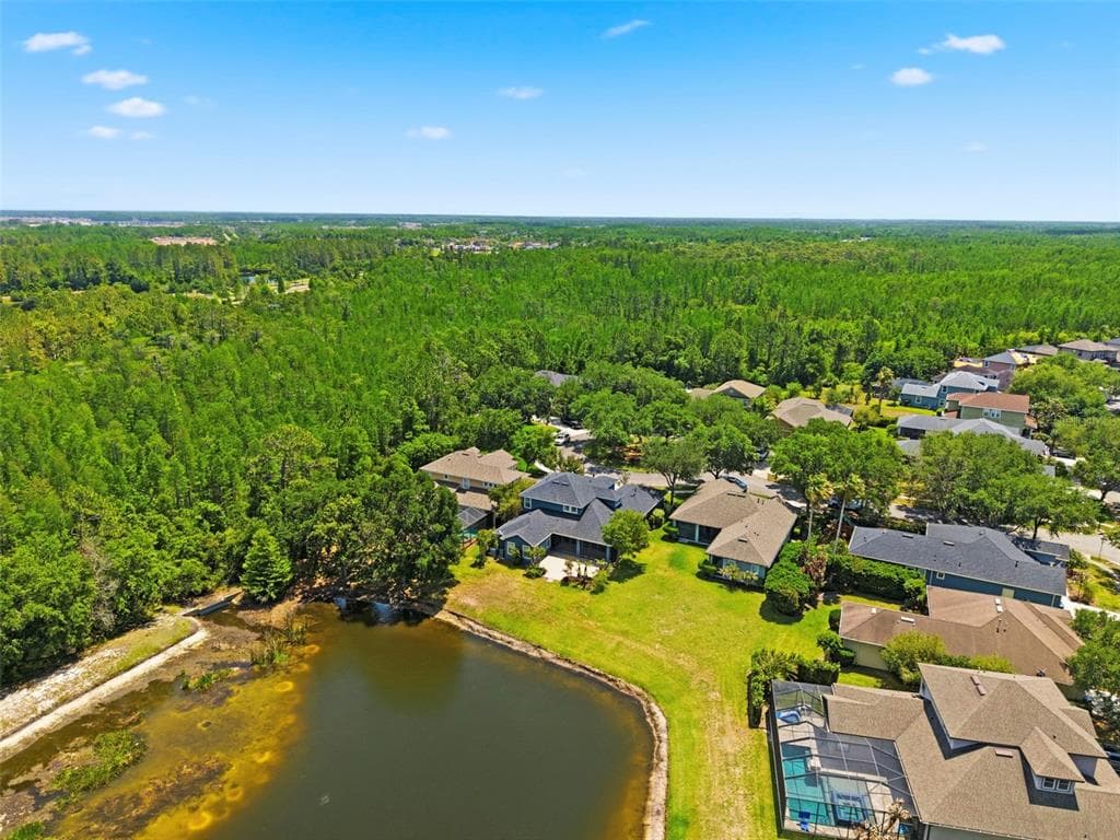 20629 WILD PLUM COURT, LAND O LAKES, FL 34637 — zdjęcie 3