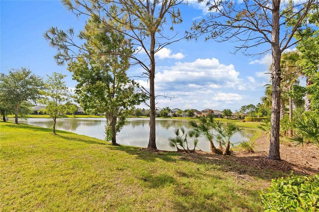 31976 WATOGA LOOP, WESLEY CHAPEL, FL 33543 — zdjęcie 3