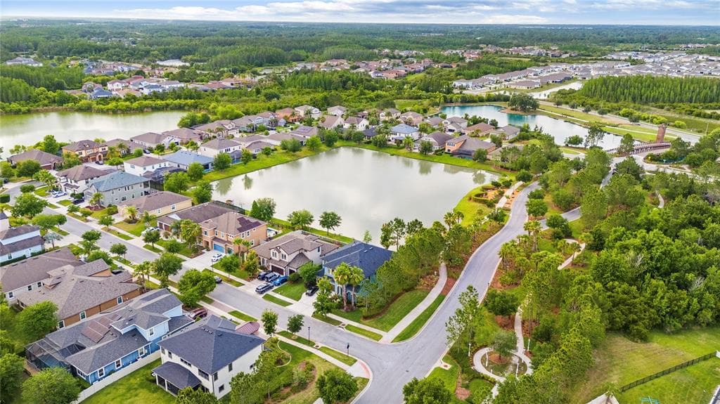 31976 WATOGA LOOP, WESLEY CHAPEL, FL 33543 — zdjęcie 5