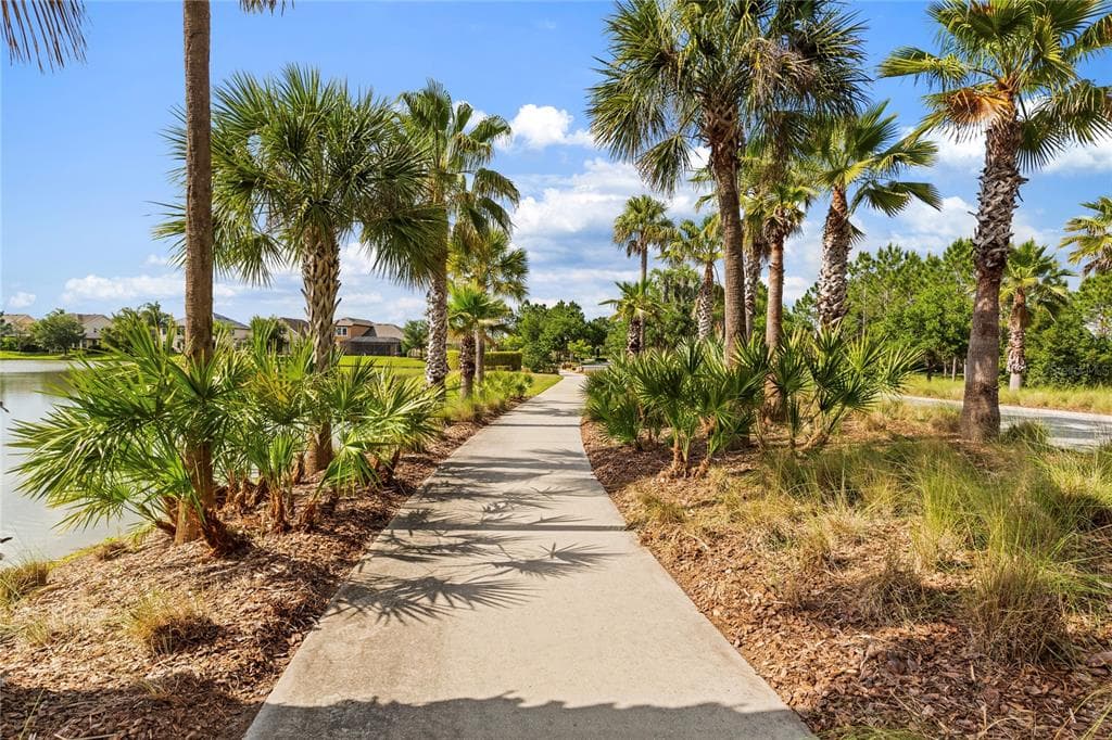 31976 WATOGA LOOP, WESLEY CHAPEL, FL 33543 — zdjęcie 4