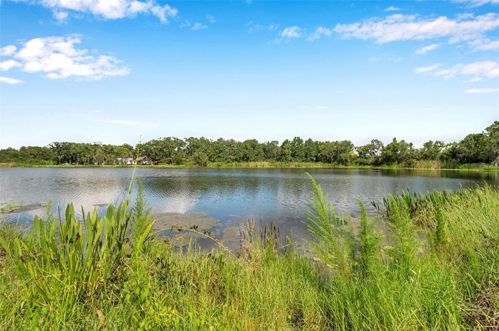 4812 WALNUT RIDGE ROAD, LAND O LAKES, FL 34638 — zdjęcie 2