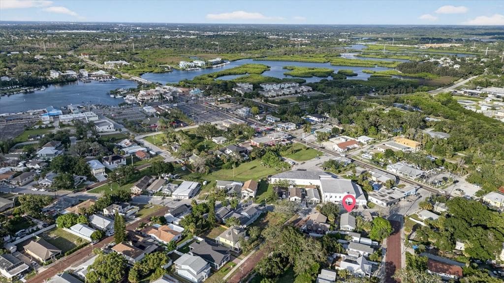 207 ATHENS STREET, TARPON SPRINGS, FL 34689 — zdjęcie 3