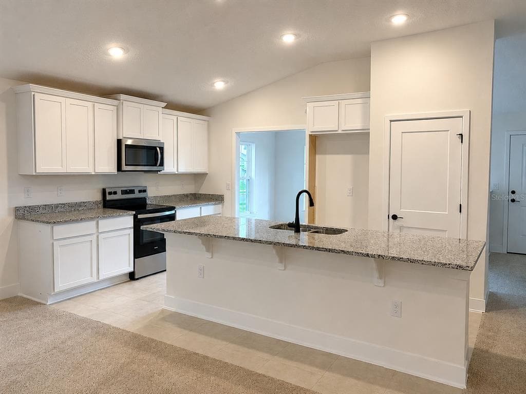 255 VERNY GROVE LANE, LEESBURG, FL 34748 — zdjęcie 3