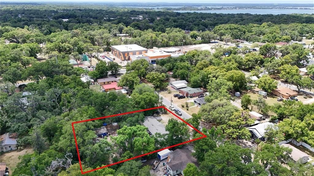 1400 N SIMPSON STREET, MOUNT DORA, FL 32757 — zdjęcie 2