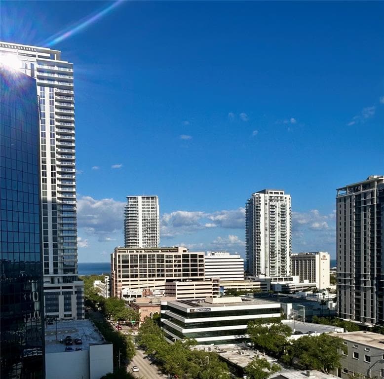400 CENTRAL AVENUE # 1003, ST PETERSBURG, FL 33701 — zdjęcie 5