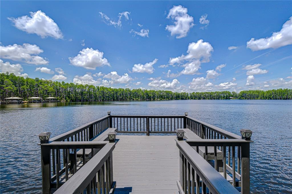 20915 LAKE VIENNA DRIVE, LAND O LAKES, FL 34638 — zdjęcie 3
