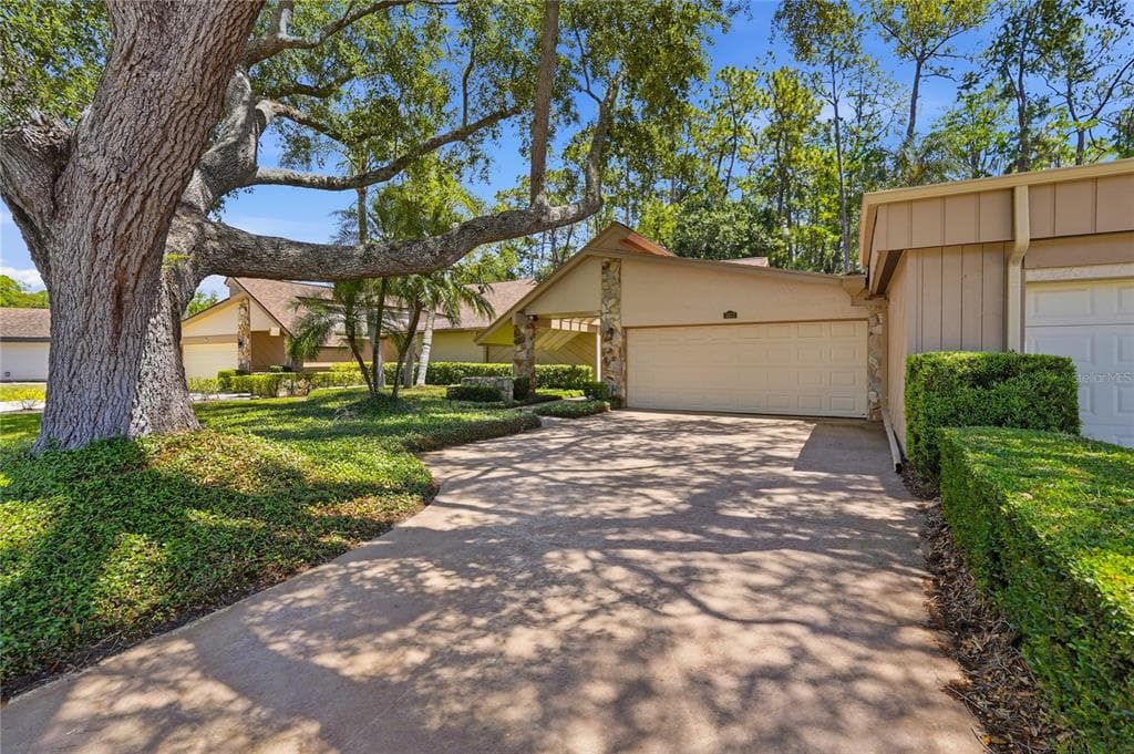 3071 BOLT DRIVE, PALM HARBOR, FL 34685 — zdjęcie 3
