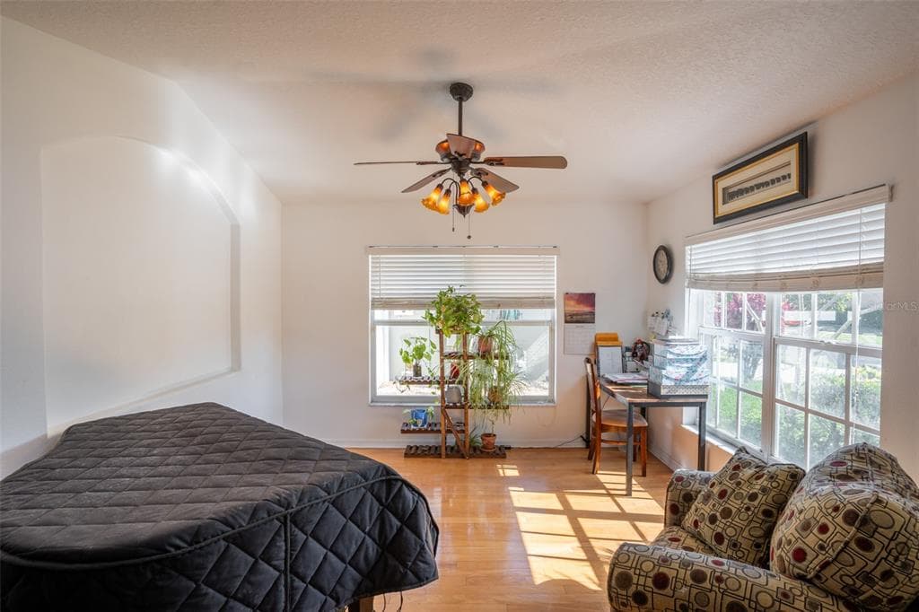 624 N LAKE BOULEVARD, TARPON SPRINGS, FL 34689 — zdjęcie 4