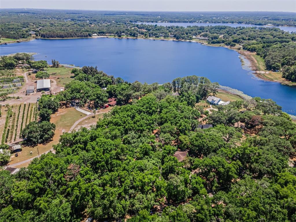 8602 BONNIE COVE LANE, ODESSA, FL 33556 — zdjęcie 2