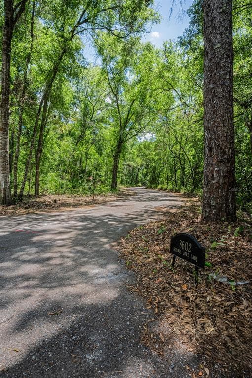 8602 BONNIE COVE LANE, ODESSA, FL 33556 — zdjęcie 5
