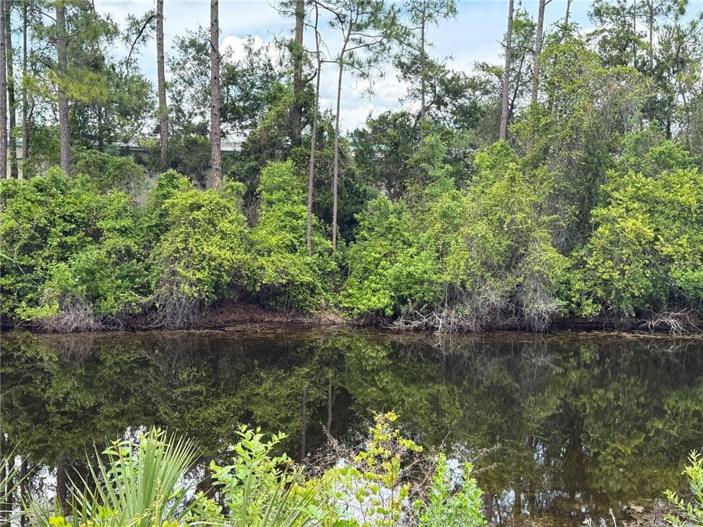 33 WENDY LANE, PALM COAST, FL 32164 — zdjęcie 5