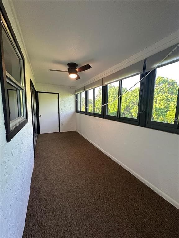514 WINDRUSH BAY DRIVE # 514, TARPON SPRINGS, FL 34689 — zdjęcie 5
