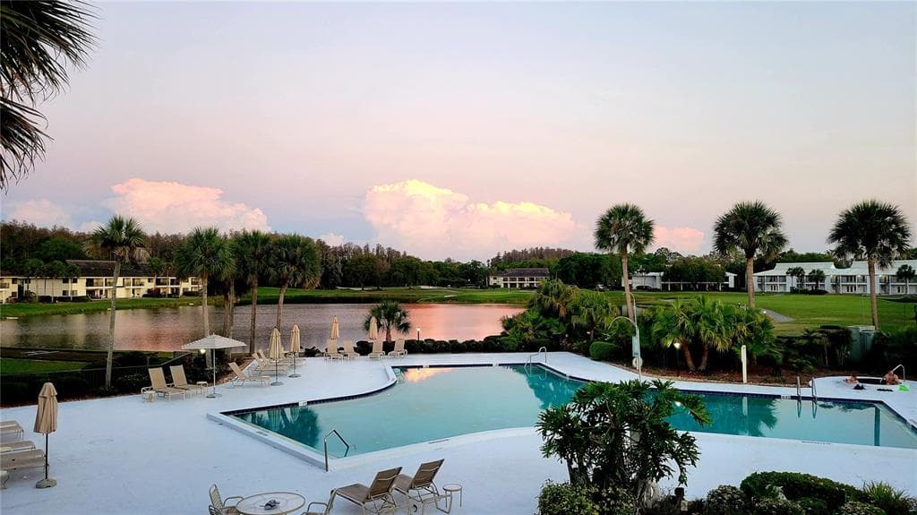 29130 BAY HOLLOW DRIVE # 3312, WESLEY CHAPEL, FL 33543 — zdjęcie 5