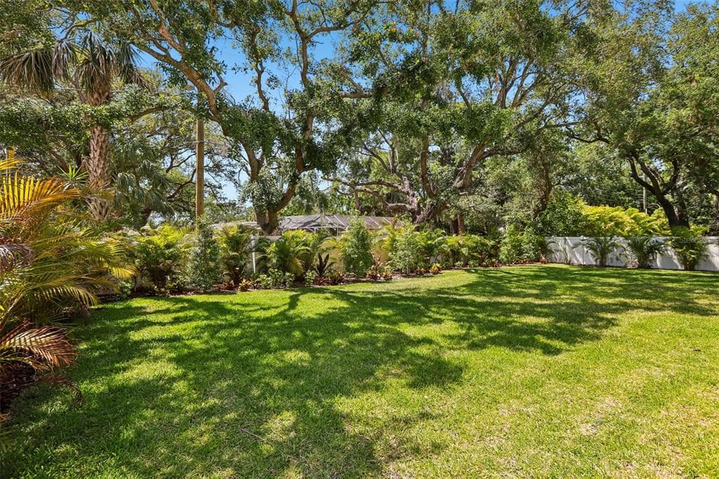 3013 S WEST SHORE BOULEVARD, TAMPA, FL 33629 — zdjęcie 5