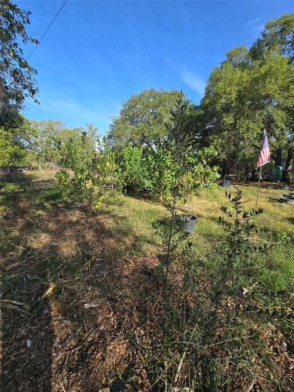 14515 GIDDYUP LANE, HUDSON, FL 34669 — zdjęcie 2