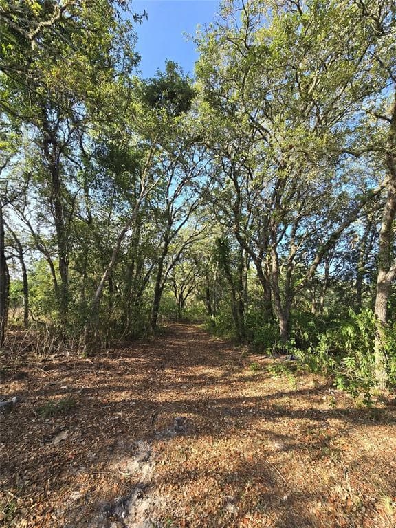 14515 GIDDYUP LANE, HUDSON, FL 34669 — zdjęcie 3