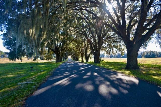 11920 SE 8TH AVENUE, OCALA, FL 34480 — zdjęcie 3