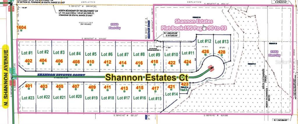 411 SHANNON ESTATES COURT, PLANT CITY, FL 33563 — zdjęcie 4