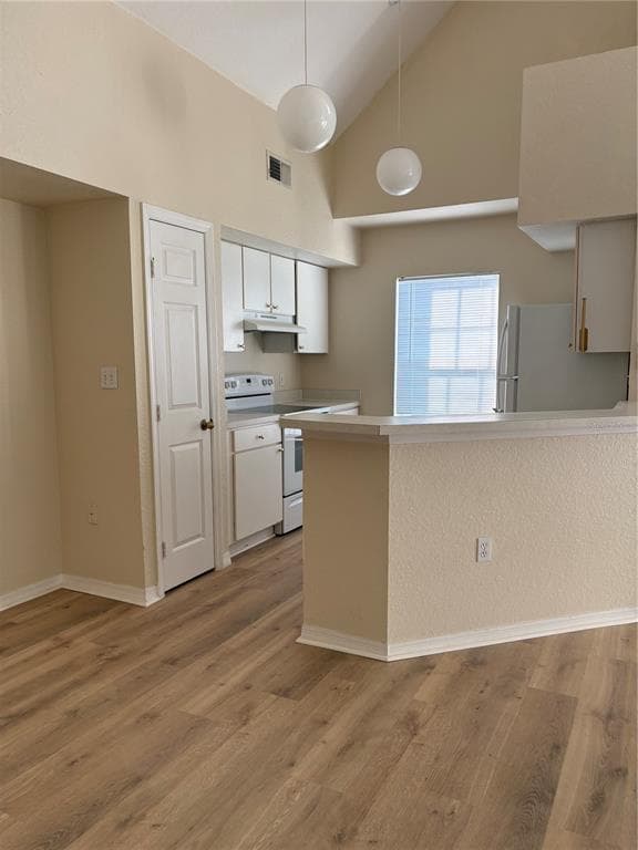 9832 LAKE CHASE ISLAND WAY, TAMPA, FL 33626 — zdjęcie 4