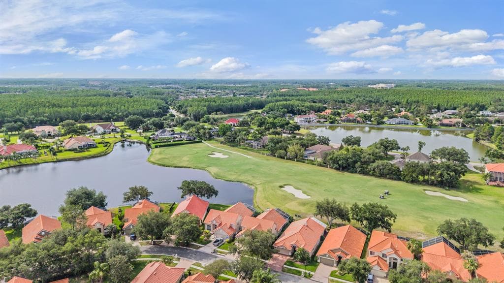 18911 AVENUE BIARRITZ, LUTZ, FL 33558 — zdjęcie 5