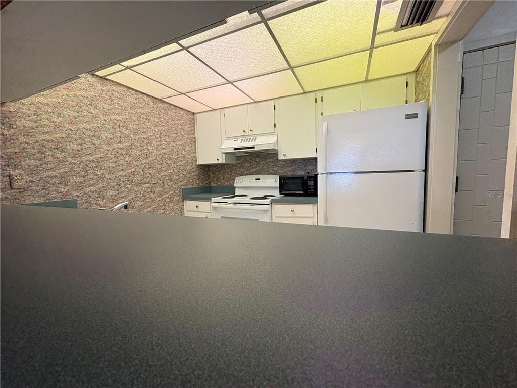 167 PALM VIEW COURT # 3487, HAINES CITY, FL 33844 — zdjęcie 3