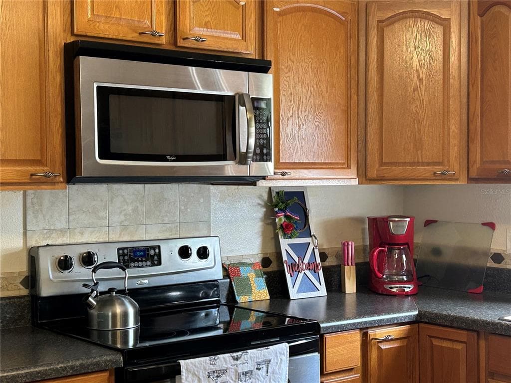 1709 E SCHWARTZ BOULEVARD, LADY LAKE, FL 32159 — zdjęcie 3