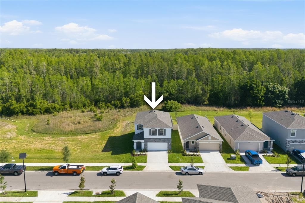 17786 ACORN DROP ROAD, LAND O LAKES, FL 34638 — zdjęcie 3